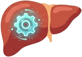 The Genetic Lottery: Your Liver’s Engine