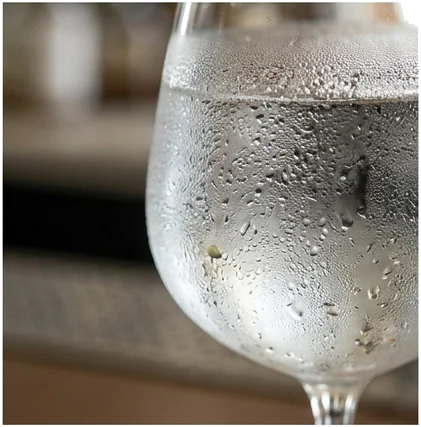 The Physics of Temperature and Dilution